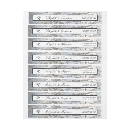 Rustic Silver Birch Tree Wedding (Vel)