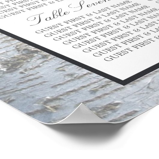 Rustic Silver Birch Tree Wedding Seating Chart Poster (Hoek)
