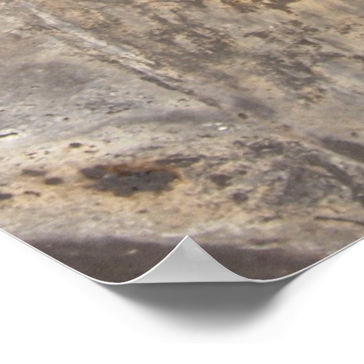 Rustic Street Canvas Print (Hoek)