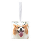 Rustic String Lights forever in ons hartenpark Decoratie (Rechts)