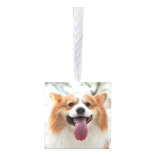 Rustic String Lights forever in ons hartenpark Decoratie (Rechts)