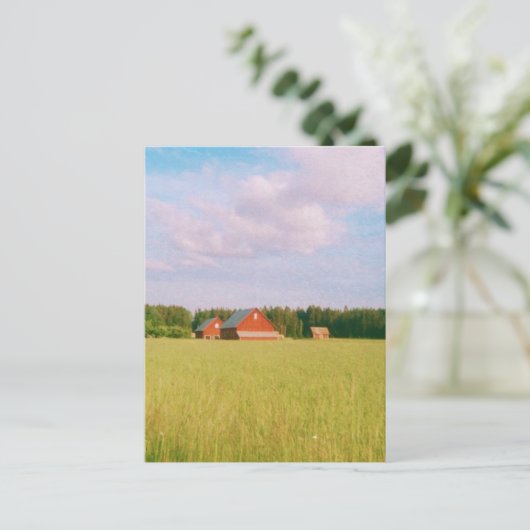 Rustic summer field, Helsingia, Sweden Briefkaart (Staand voorkant)
