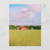 Rustic summer field, Helsingia, Sweden Briefkaart (Voorkant)