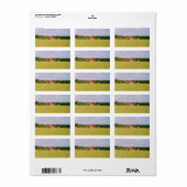 Rustic summer field, Helsingia, Sweden Etiket (Full Sheet)