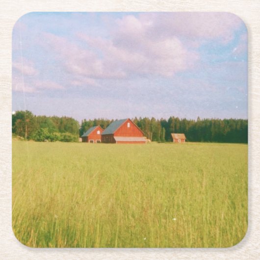 Rustic summer field, Helsingia, Sweden Kartonnen Onderzetters (Voorkant)