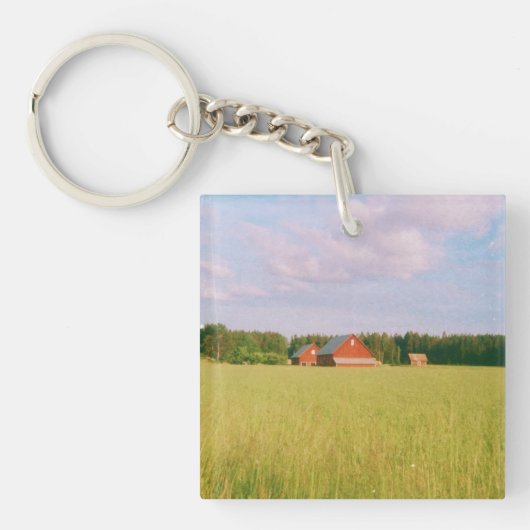 Rustic summer field, Helsingia, Sweden Sleutelhanger (voorkant)