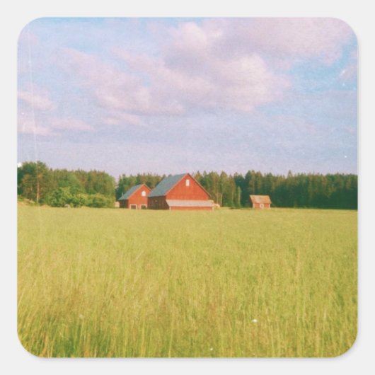 Rustic summer field, Helsingia, Sweden Vierkante Sticker (Voorkant)