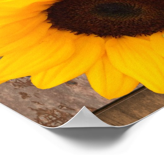 Rustic Sunflower Barn Wood Weddenschap Poster (Hoek)