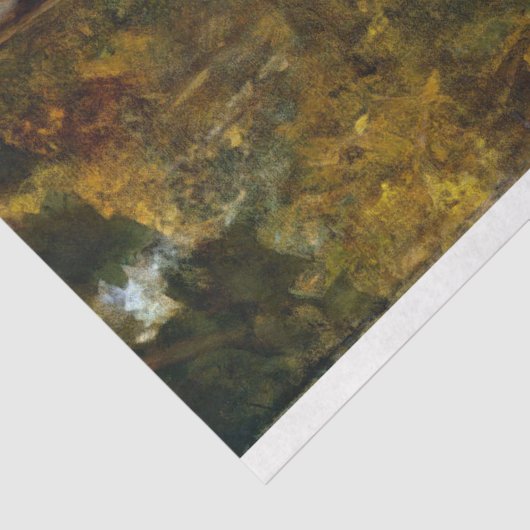 Rustic Texture Woman  Bicycle Tissuepapier (Detail)