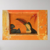 Rustic Toucan Poster1 Poster (Voorkant)