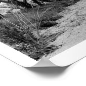 Rustic Trail met Trees Poster (Hoek)