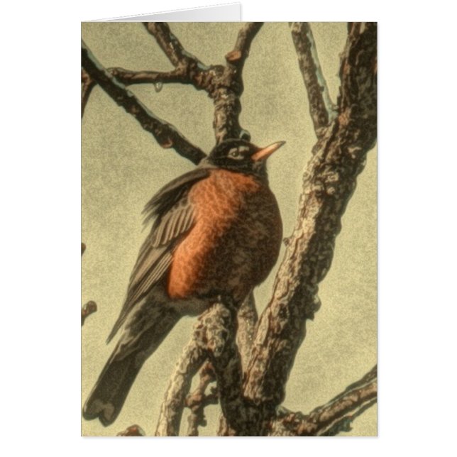 Rustic Tree vertakt Michigan State Bird Robin (Voorkant)