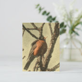 Rustic Tree vertakt Michigan State Bird Robin Briefkaart (Staand voorkant)