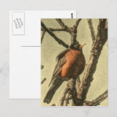 Rustic Tree vertakt Michigan State Bird Robin Briefkaart (Voorkant / Achterkant)