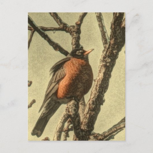 Rustic Tree vertakt Michigan State Bird Robin Briefkaart (Voorkant)