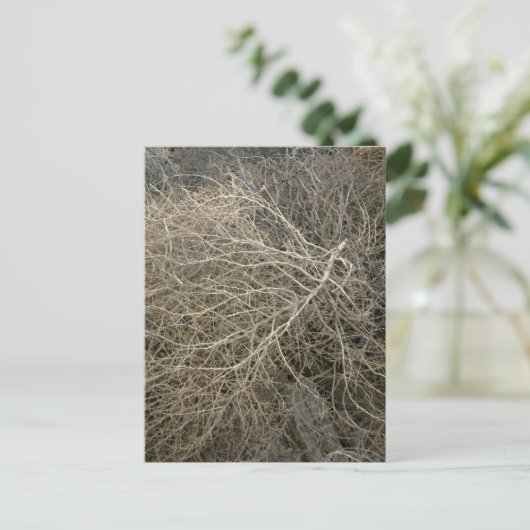 Rustic Tumbleweed Briefkaart (Staand voorkant)