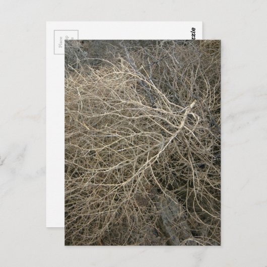 Rustic Tumbleweed Briefkaart (Voorkant / Achterkant)