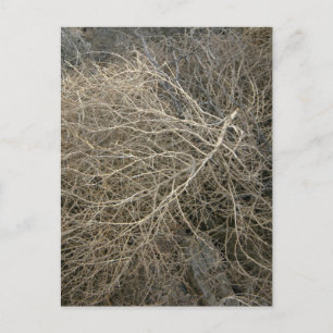 Rustic Tumbleweed Briefkaart