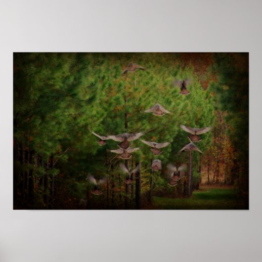 Rustic Turkey's In Flight Poster (Voorkant)
