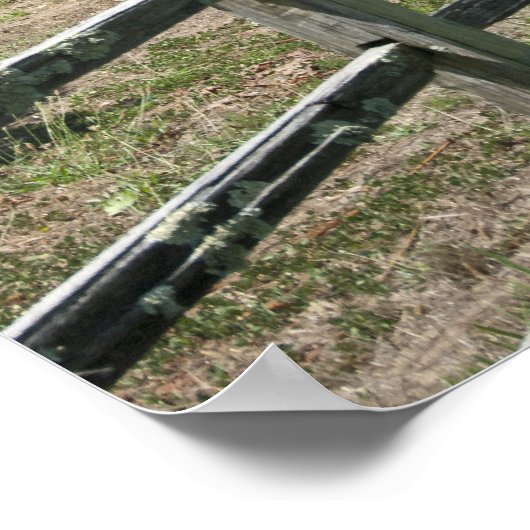 Rustic Vineyard Grape Fields Poster (Hoek)