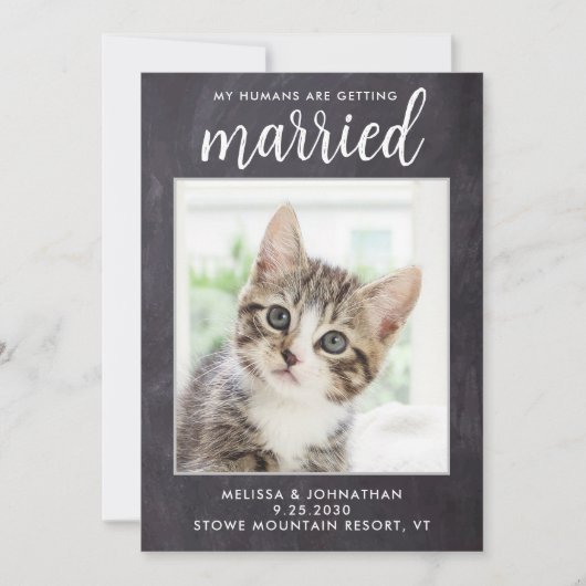 Rustic Wedding Simple Custom Pet Photo Cat Dog Save The Date (Voorkant)
