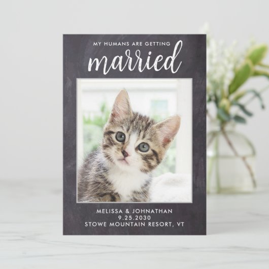 Rustic Wedding Simple Custom Pet Photo Cat Dog Save The Date (Staand voorkant)