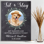 Rustic Welcome Personalized Dog Photo Pet Wedding Poster<br><div class="desc">Ga zitten en blijf ~ Mijn ouders gaan vandaag trouwen! Neem je beste hond, beste kat en elk huisdier mee op je bruiloft met zijn eigen welkomstbord voor je gasten. Ideaal voor hondenliefhebbers, maakt het perfecte trouwhondenbord. Eenvoudig maar elegant kalkplanleisteen met eucalyptusbladeren. Pas dit trouwgezelschapsbord aan met je hond, kat,...</div>