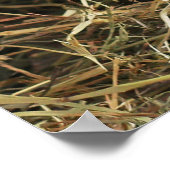 Rustic White Milk Jug met Oranje bloemen Foto Poster (Hoek)