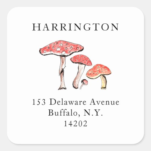 Rustic Wilde paddenstoelen Handtekening adres Vierkante Sticker (Voorkant)