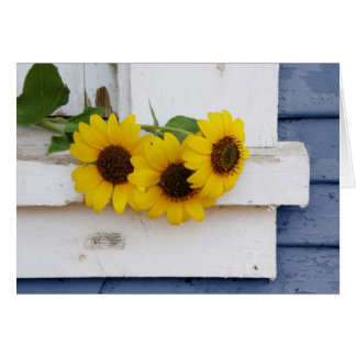 Rustic Windows sill