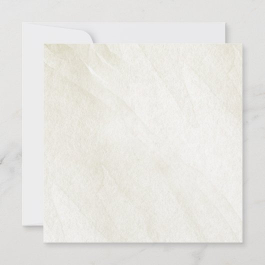 Rustic Winter Woodland Pine Cone Save the Date Aankondiging (Achterkant)