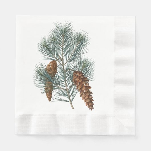 Rustic Winter Woodland Pine Cones and Branch Servet (Voorkant)