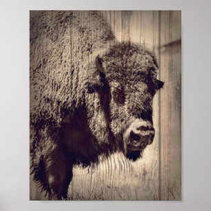 Rustic Wood Buffalo Foto Wild Western Poster