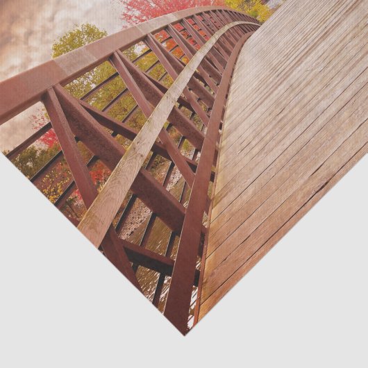 Rustic Wooden Bridge in het land Tissuepapier (Detail)