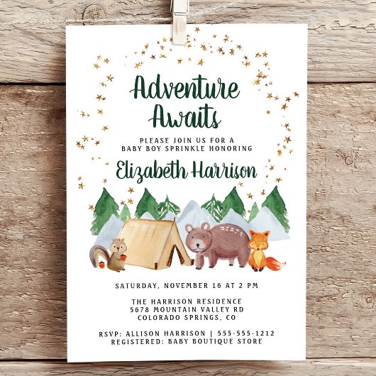 Rustic Woodland Animals Adventure Baby Sprinkle Kaart