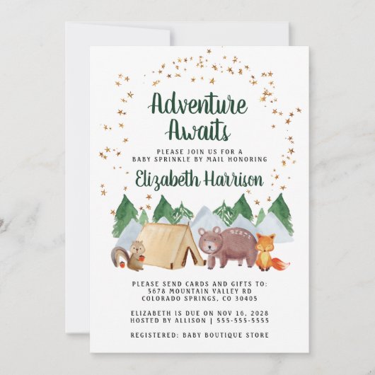 Rustic Woodland Animals Baby per post Kaart (Voorkant)