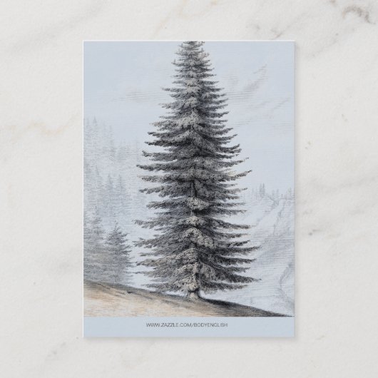 Rustic Woodland Beren Diaper Raffle Informatiekaartje (Achterkant)