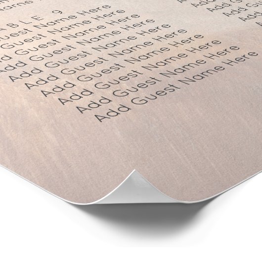 Rustic Woodland Feathers en Floral Bloom Poster (Hoek)