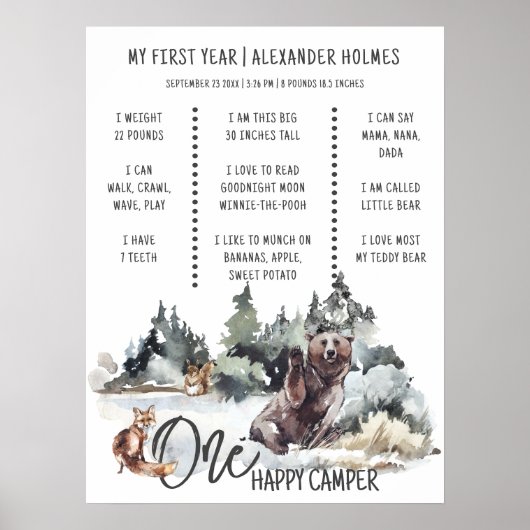 Rustic Woodland One Happy Camper Milestone Board Poster (Voorkant)