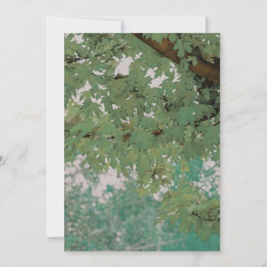 Rustic Woodland Tree Twinkle Lights Wedding Kaart (Achterkant)