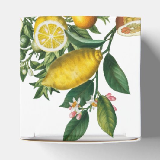 Rustic Yellow Lemon & Foliage Greenery Wedding Bedankdoosjes (Bovenkant)