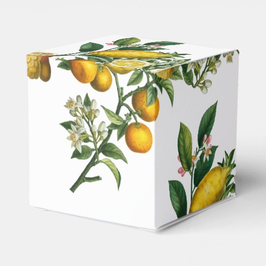 Rustic Yellow Lemon & Foliage Greenery Wedding Bedankdoosjes (Achterkant)