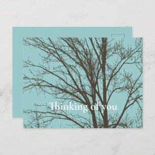 Rustiek Blauw Bruine Boom Branches Briefkaart