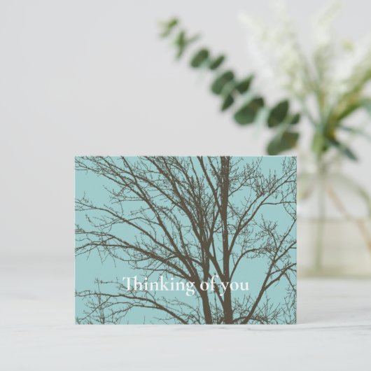 Rustiek Blauw Bruine Boom Branches Briefkaart (Staand voorkant)