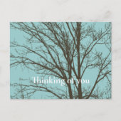 Rustiek Blauw Bruine Boom Branches Briefkaart (Voorkant)