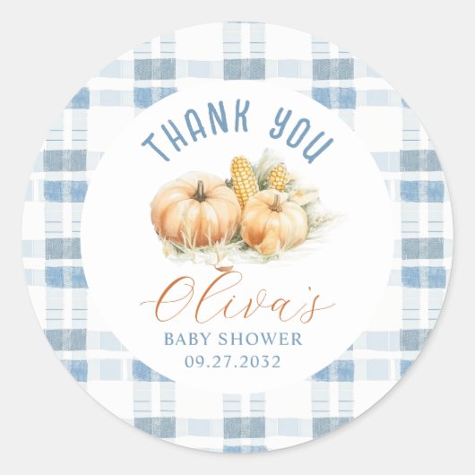 Rustiek Blue Stripes Pompoen Baby shower Dank u Ronde Sticker (Voorkant)