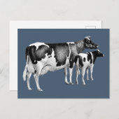 rustiek Boerderij Koe kalf tekenen blauw wit Briefkaart (Voorkant / Achterkant)