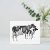  rustiek Boerderij Koe Kalf Tekening Zwart Wit Briefkaart (Staand voorkant)