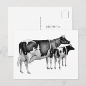  rustiek Boerderij Koe Kalf Tekening Zwart Wit Briefkaart (Voorkant / Achterkant)