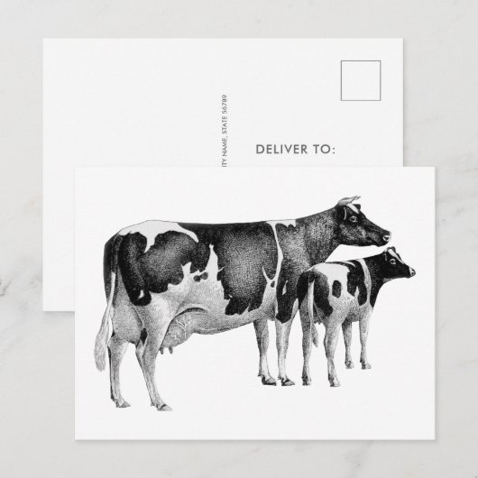  rustiek Boerderij Koe Kalf Tekening Zwart Wit Briefkaart (Voorkant / Achterkant)